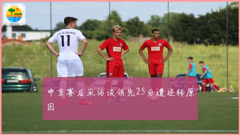 申京赛后采访谈领先25分遭逆转原因